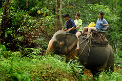 Description: http://static.asiawebdirect.com/m/bangkok/portals/bali-indonesia-com/homepage/attractions/top-ten/allParagraphs/01/top10Set/06/image/top-att-8.jpg